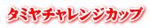 タミヤチャレンジカップ